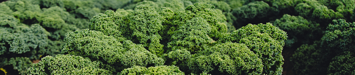 kale